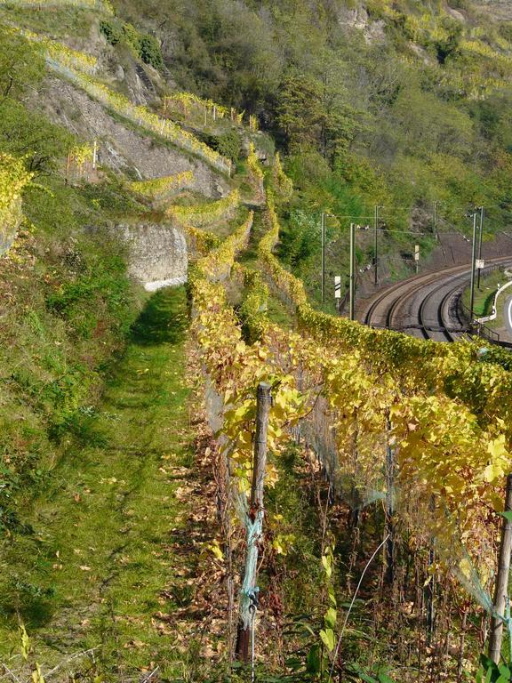 אוברווסל Gasthaus Weingut Stahl מראה חיצוני תמונה