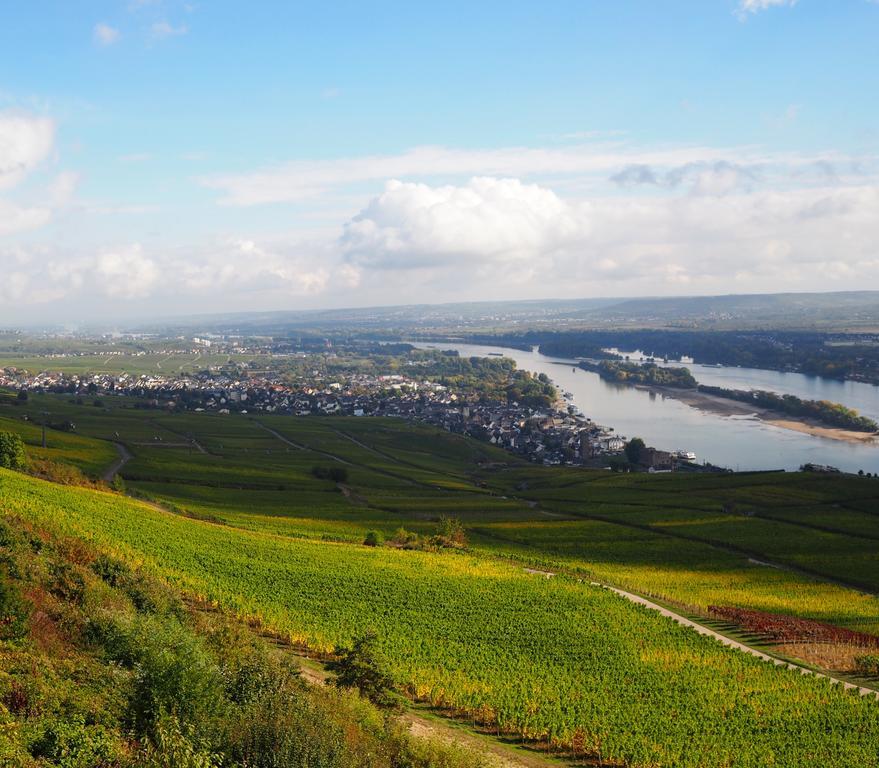 אוברווסל Gasthaus Weingut Stahl מראה חיצוני תמונה